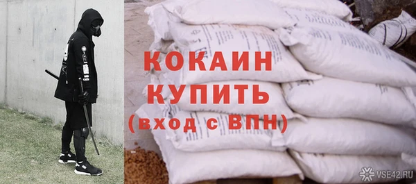 кокс Белокуриха