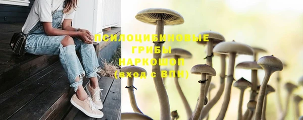 скорость Баксан