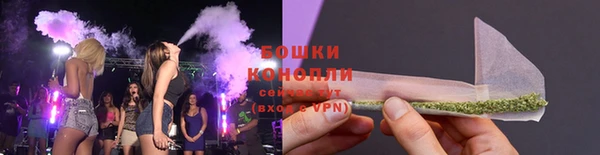 кокс Белокуриха