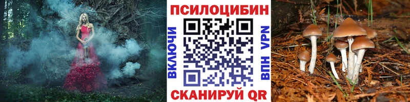 Псилоцибиновые грибы прущие грибы  darknet наркотические препараты  Верхняя Тура 